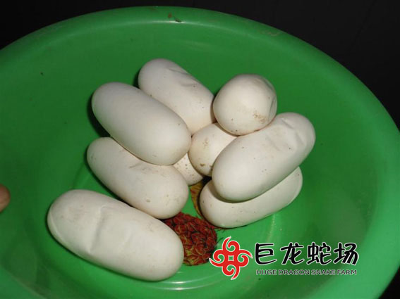 �������ߵ�,���\���ߵ�,�ߵ��r��