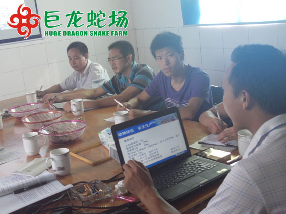 �B�߼��g��Ӗ,�B�߼��g�W��