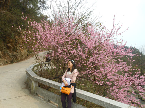 �B(y��ng)���˵��������������ɽ