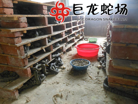 ���όW(xu��)�T�������ތ��B(y��ng)������