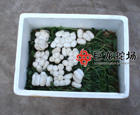 �ߵ��İ��b�c�\(y��n)ݔ