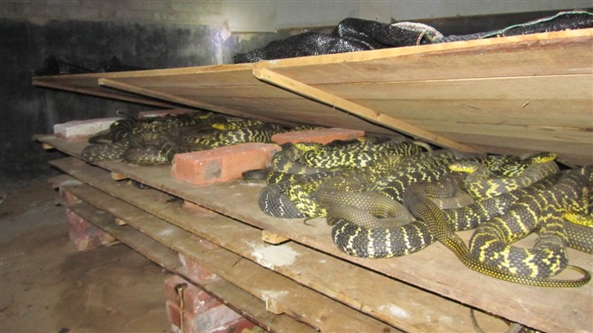 ���\�ߣ������ߣ��o������B