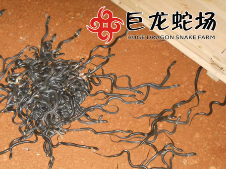 ���R��������B