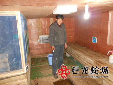 ���ތW�T����