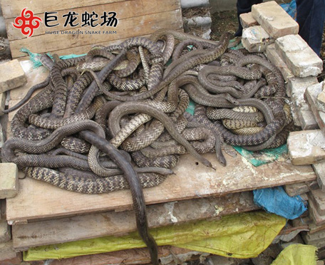 ˮ���߃r��