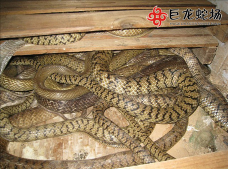 ˮ���߃r��