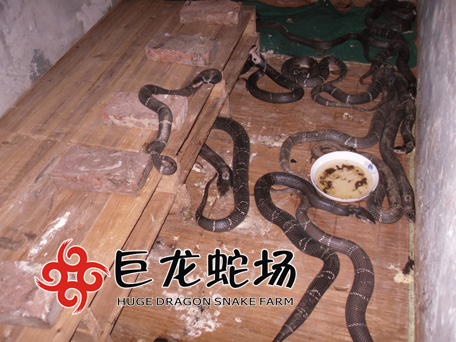 ���R�߷N��,���R�߃r��