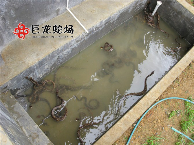 �岽�߷N��,�岽�߃r(ji��)��