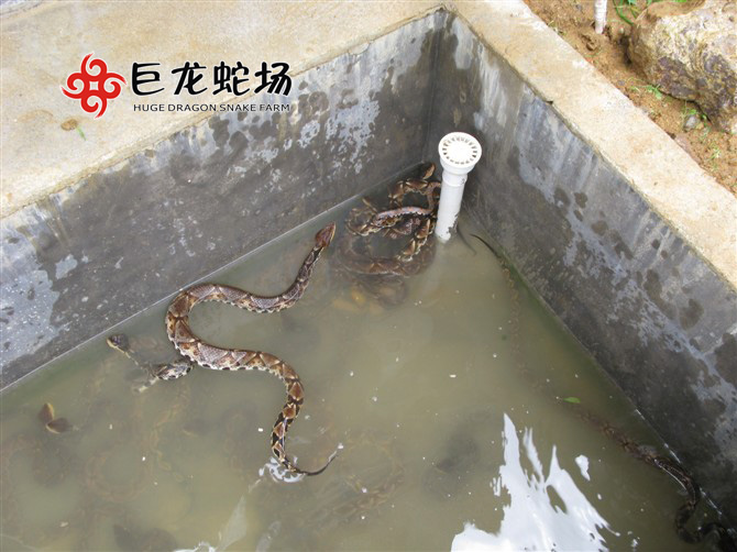 �岽�߷N��,�岽�߃r(ji��)��