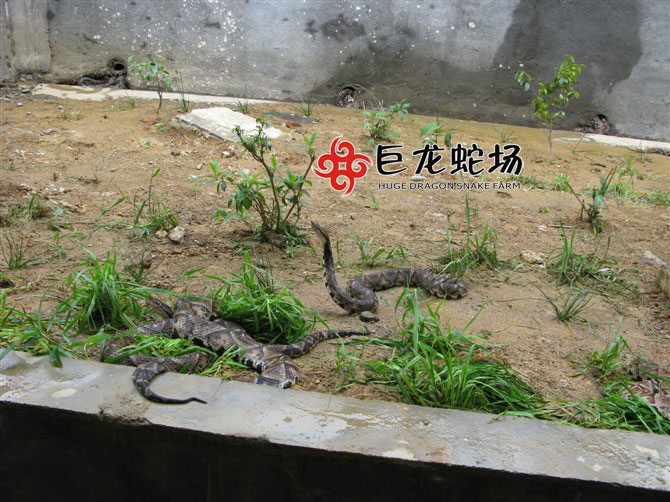 �岽�߷N��,�岽�߃r(ji��)��