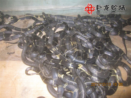 ���R����